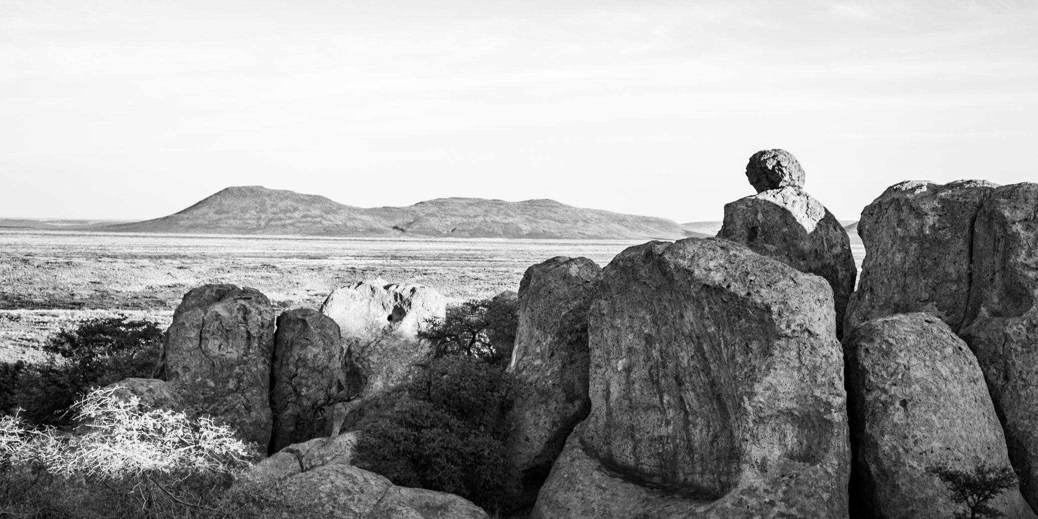 Mimetolith of a reader at sunrise, City of Rocks State Park, Faywood NM, April 11, 2017