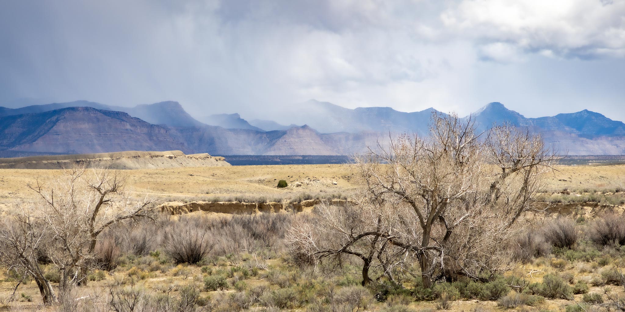 Grassy Trail Creek, Wellington UT, April 25, 2022