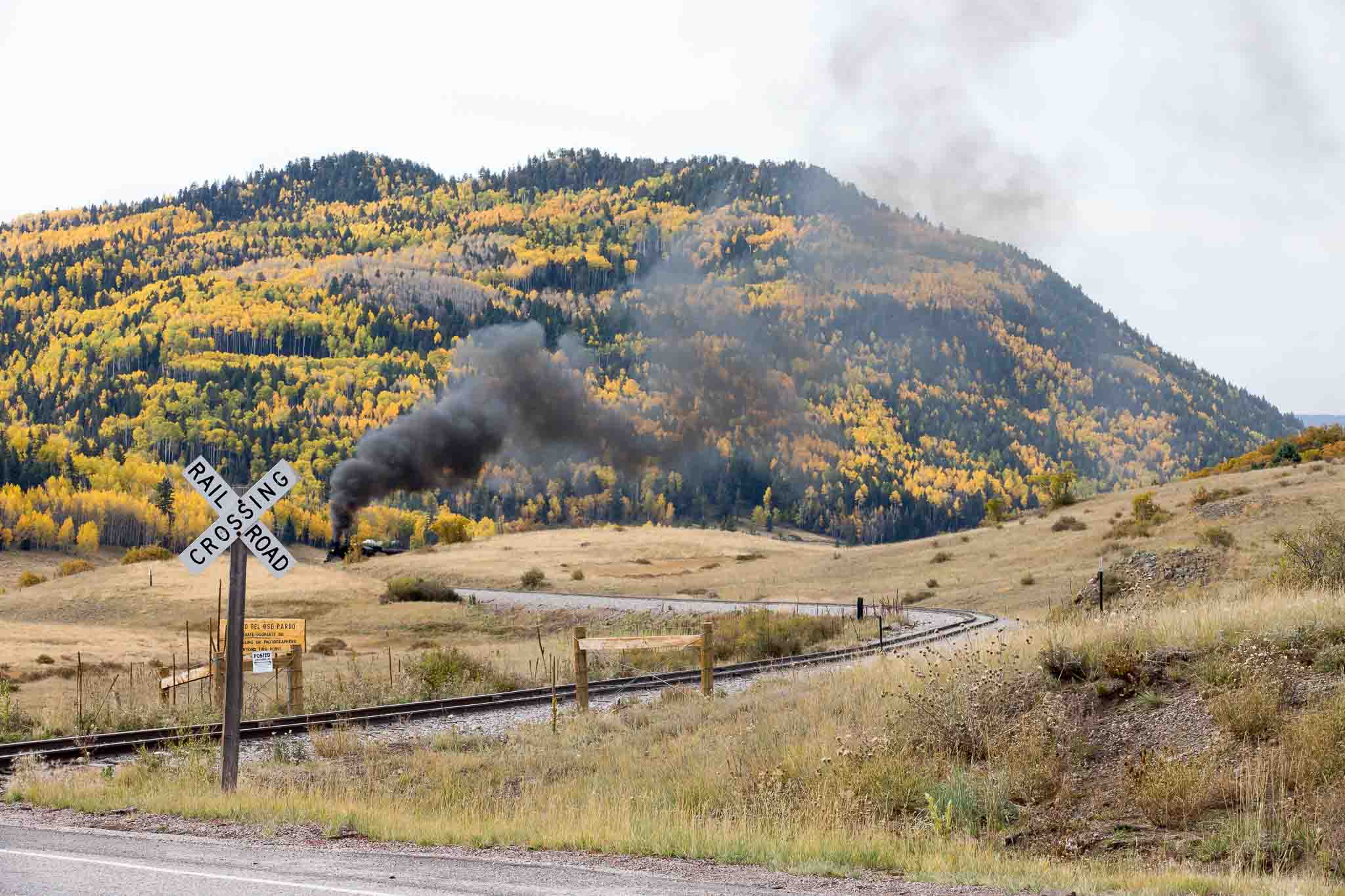 Cumbres & Toltec excursion train approaching a railroad crossing north of Chama NM, October 8, 2014