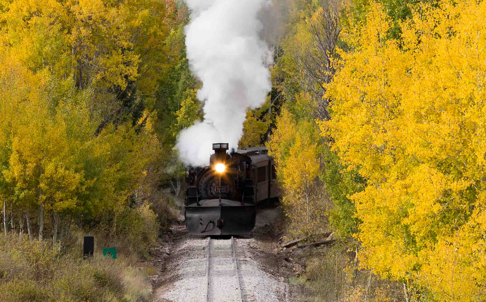 Cumbres & Toltec excursion train in aspens north of Chama NM, October 8, 2014